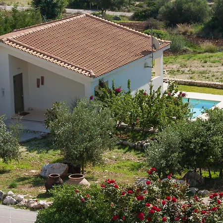 Ippokampos Ideales فيلة